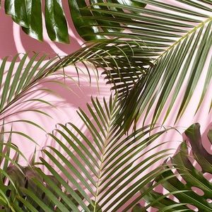 Meet your Posher, Kennedy